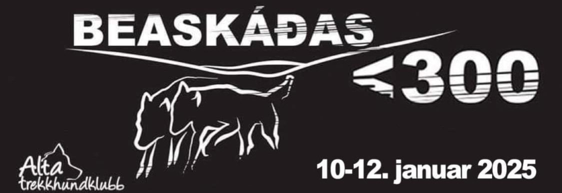 Slede langdistanse: Beaskades 300